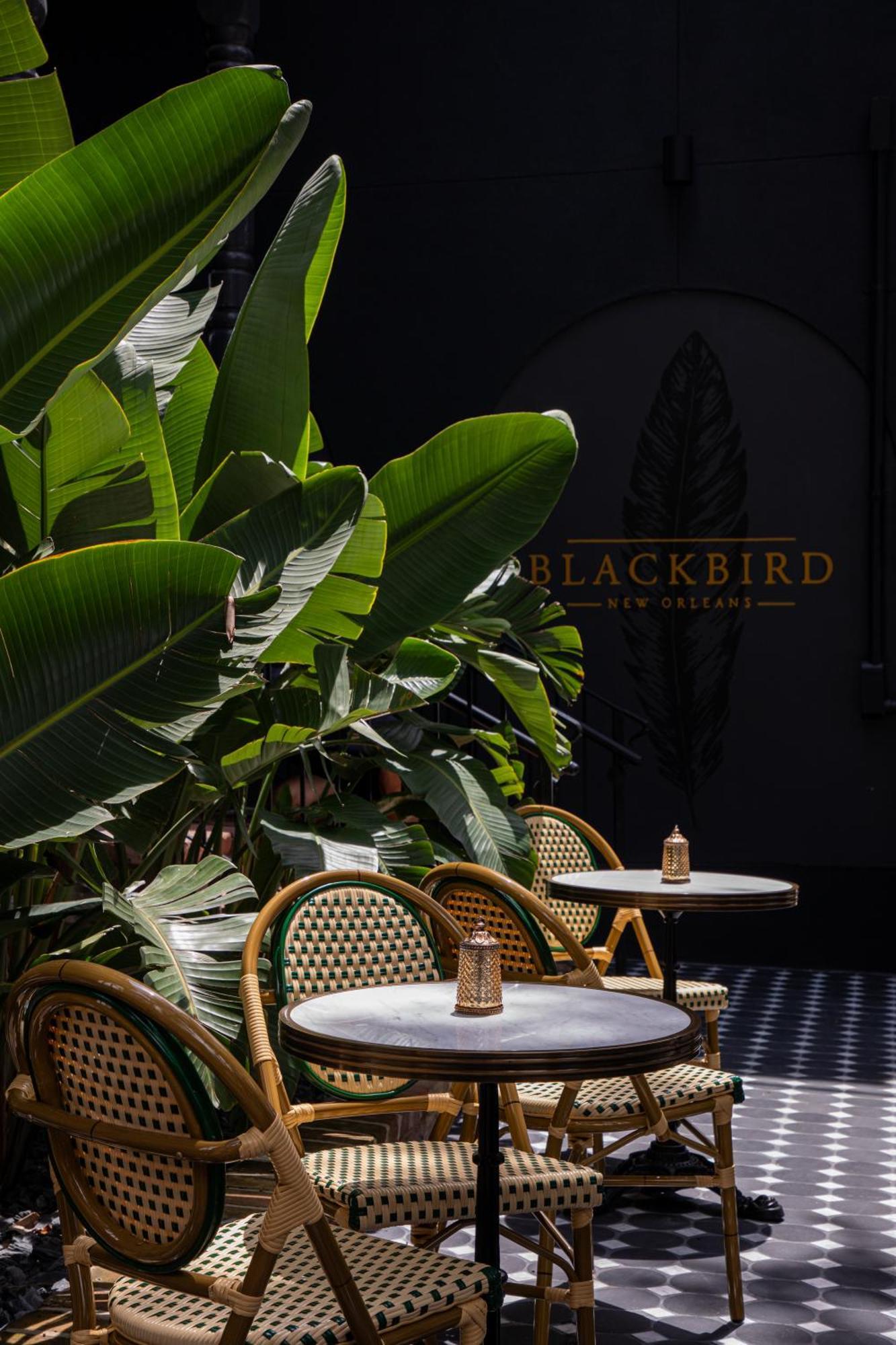 Blackbird Hotel New Orleans Exteriér fotografie