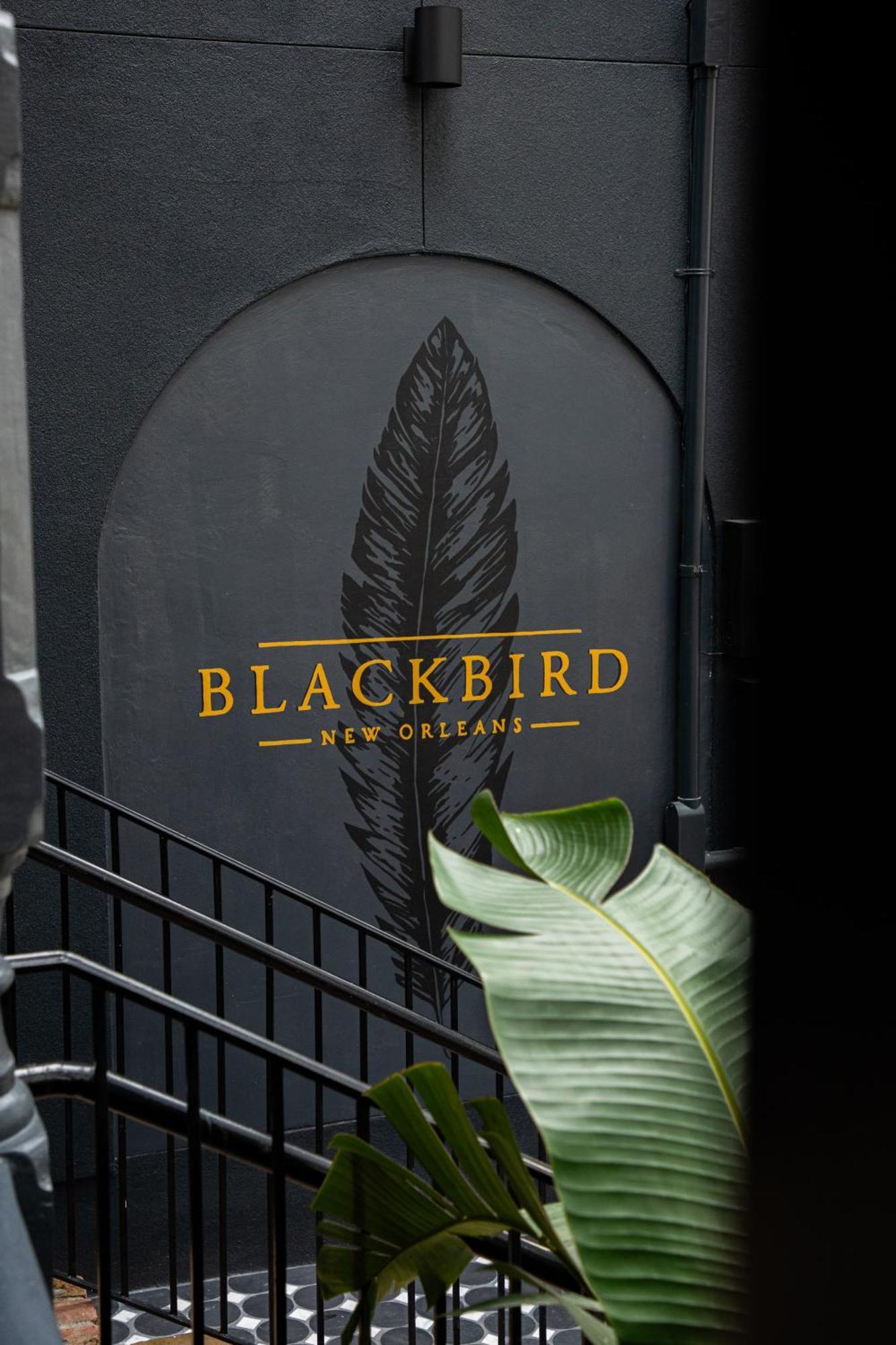 Blackbird Hotel New Orleans Exteriér fotografie