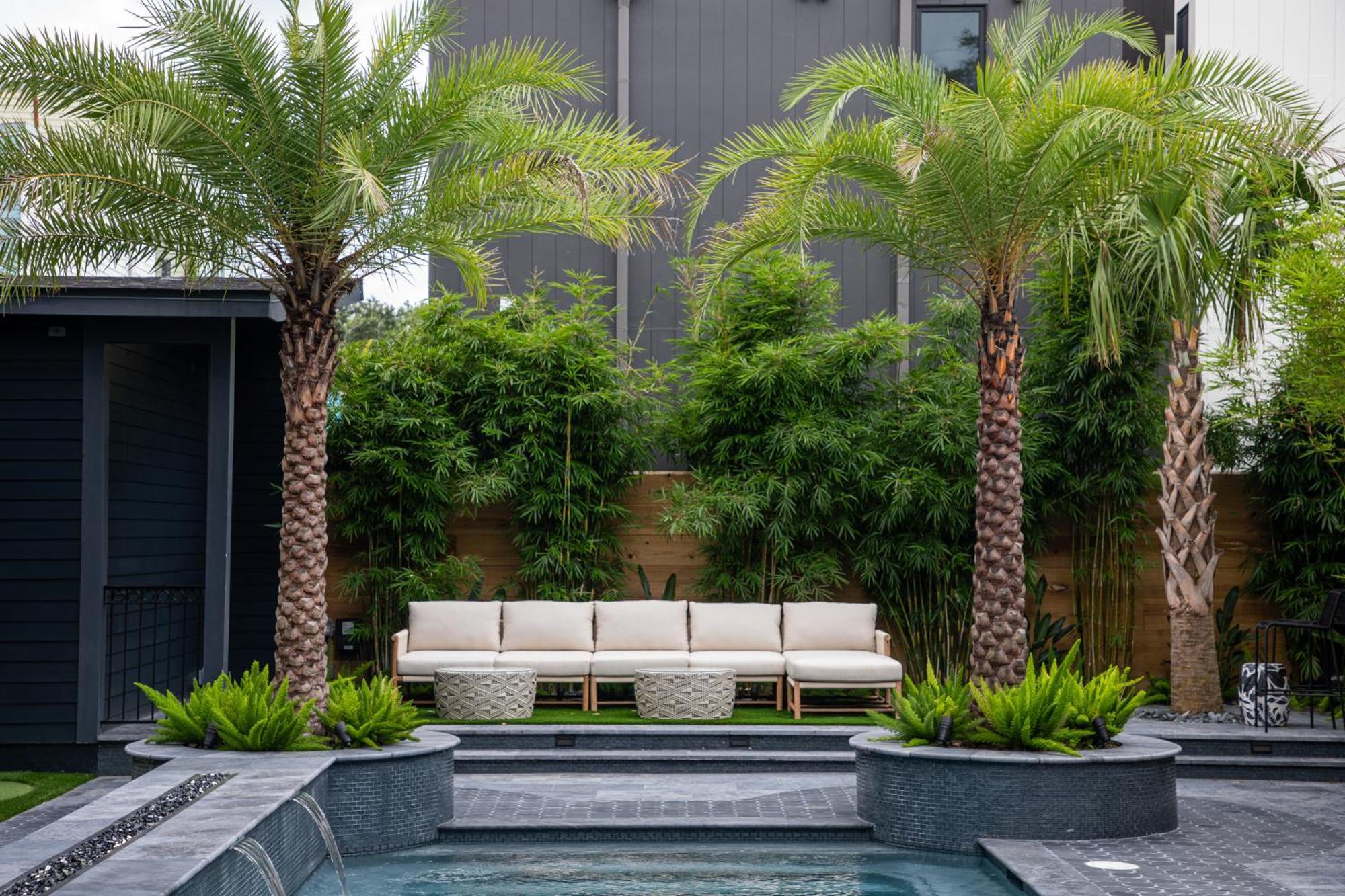 Blackbird Hotel New Orleans Exteriér fotografie