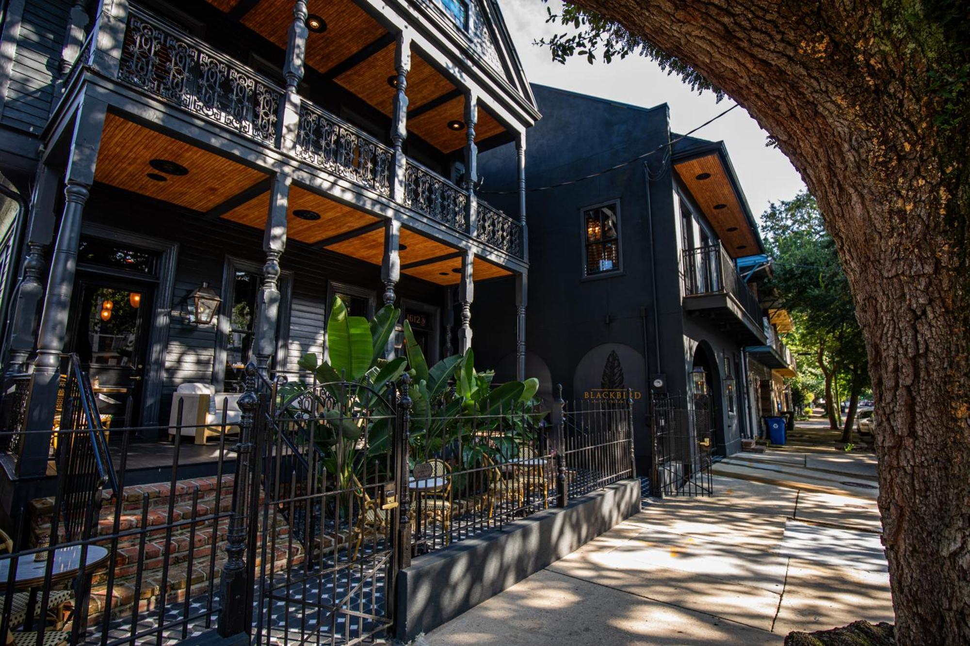 Blackbird Hotel New Orleans Exteriér fotografie
