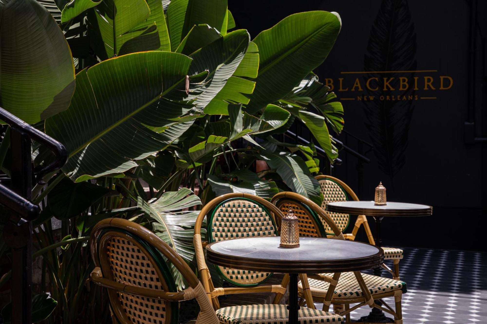 Blackbird Hotel New Orleans Exteriér fotografie